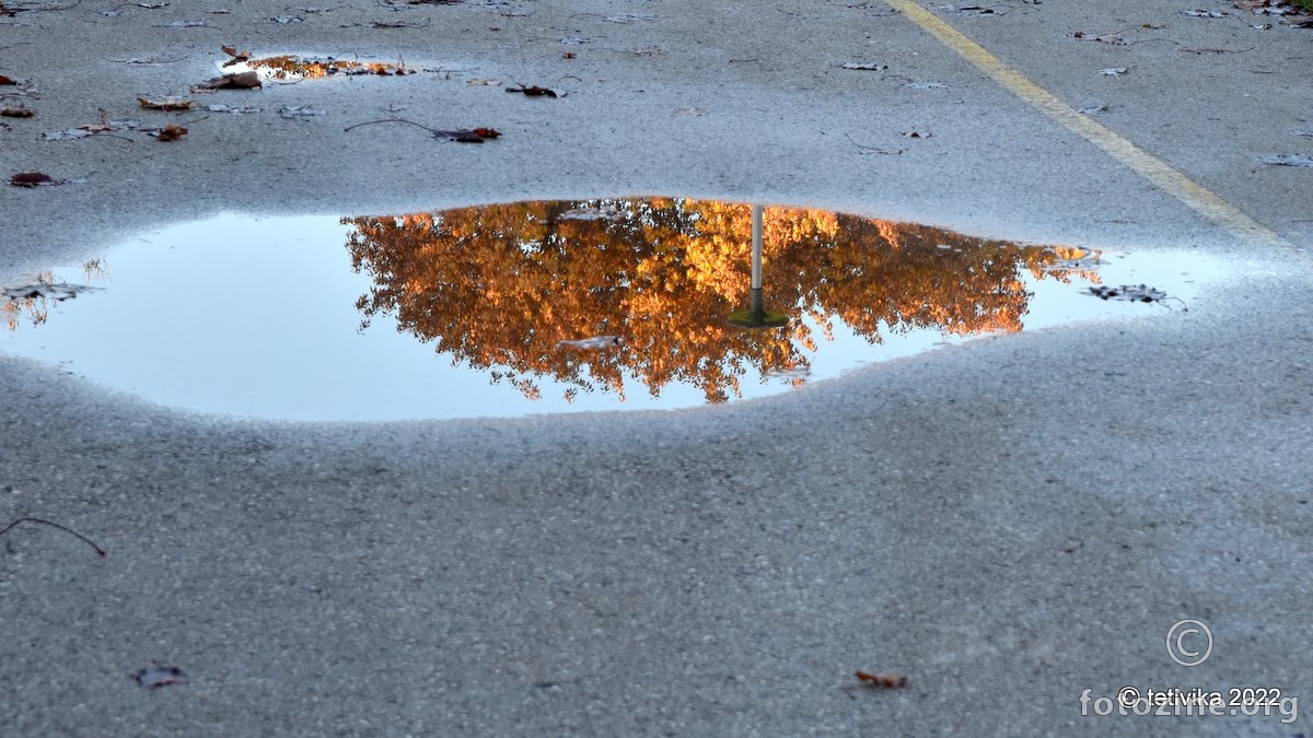 jesen na asfaltu