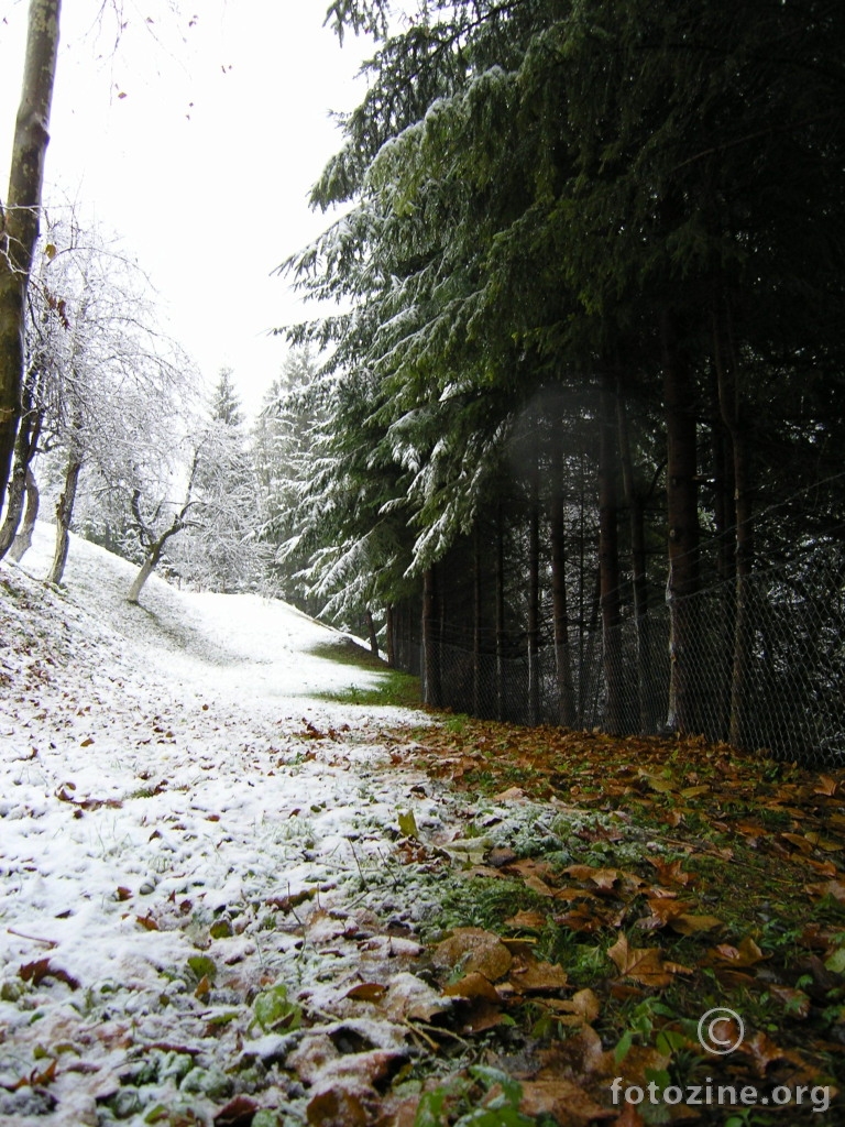 Jesen-zima