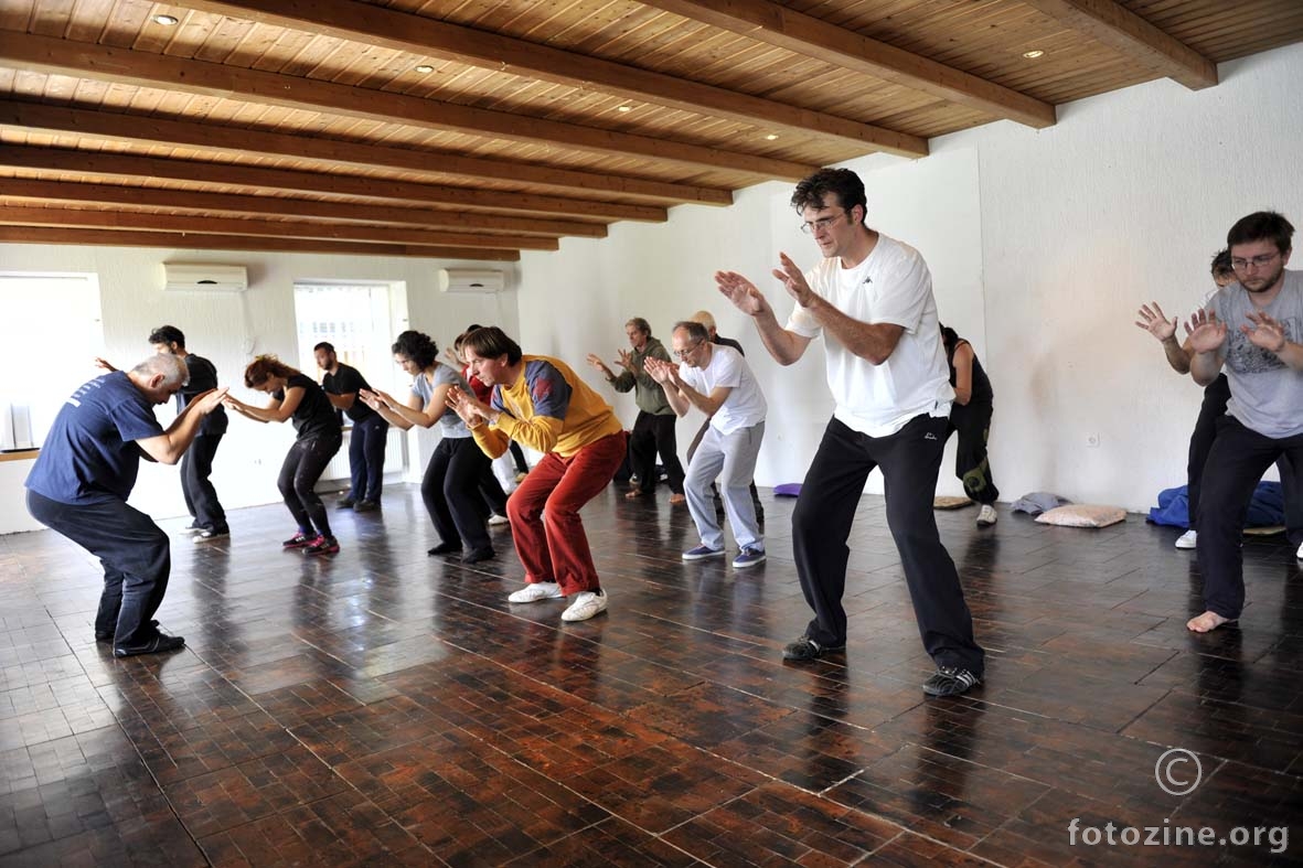Jesenski Anan-Do Tai Chi seminar, Fuzine 2014.