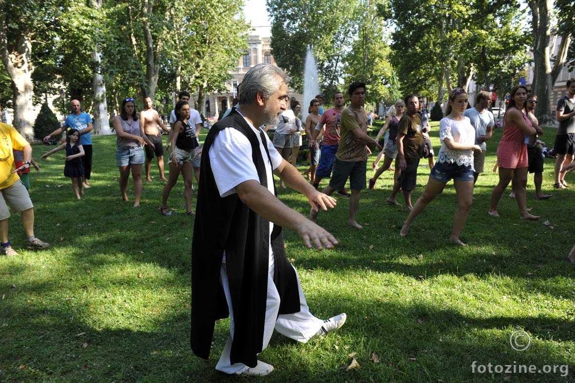 Sensei Boro u akciji