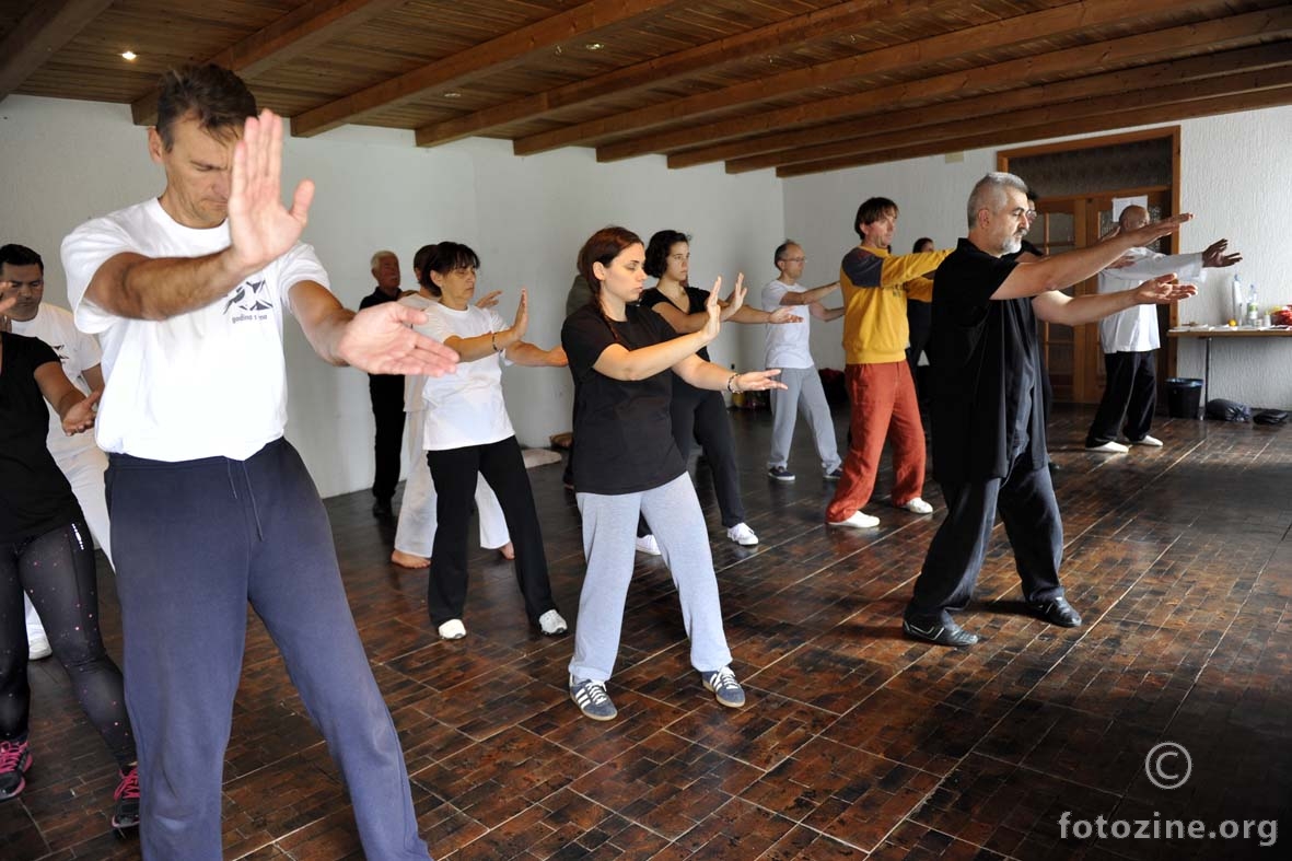 Jesenski Anan-Do Tai Chi seminar, Fuzine 2014.