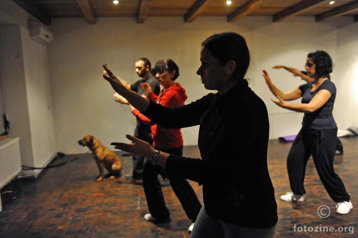 Jesenski Anan-Do Tai Chi seminar, Fuzine 2014.
