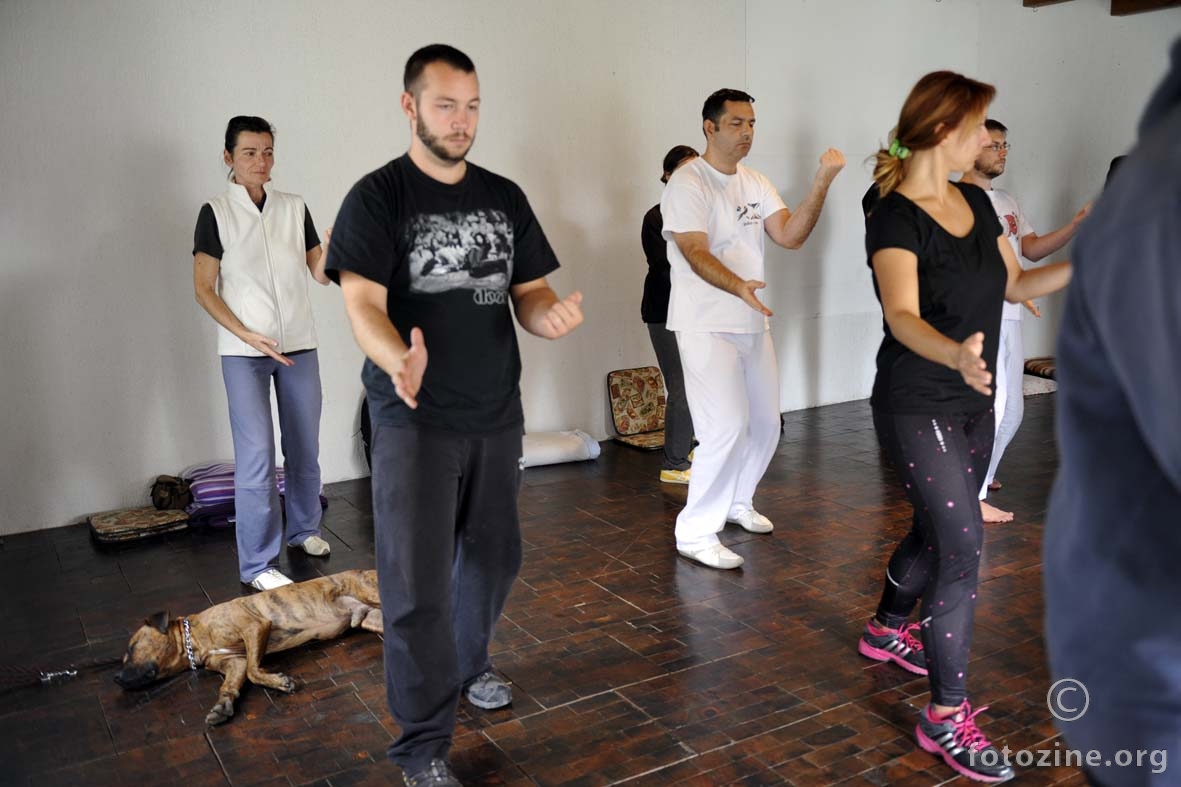 Jesenski Anan-Do Tai Chi seminar, Fuzine 2014.