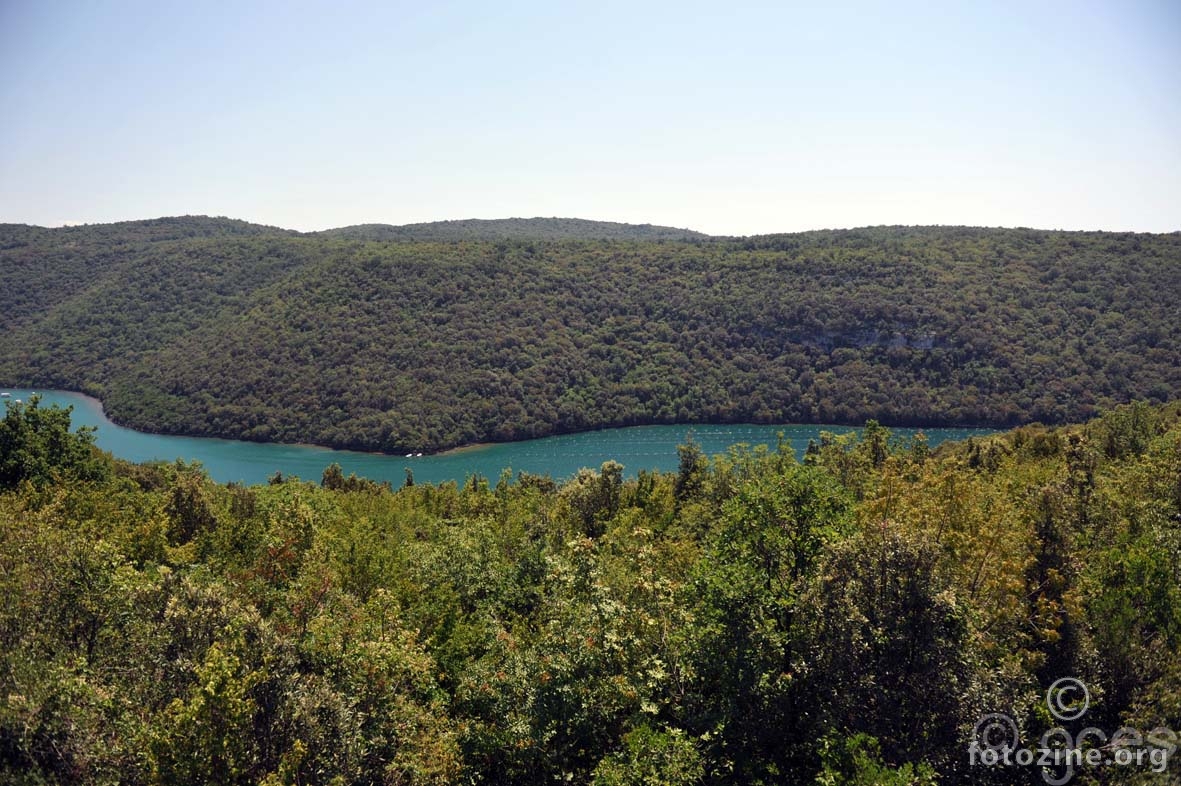 Limski kanal
