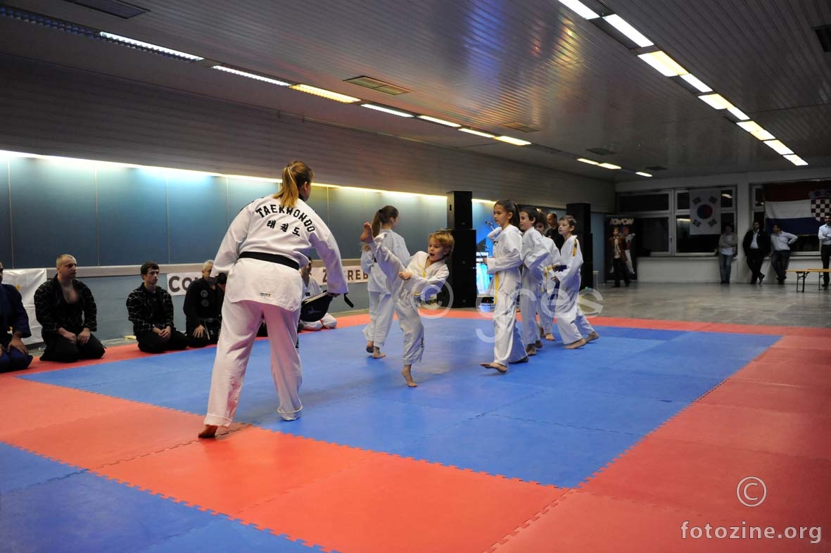 svečano otvorenje Combat Centra Zagreb...