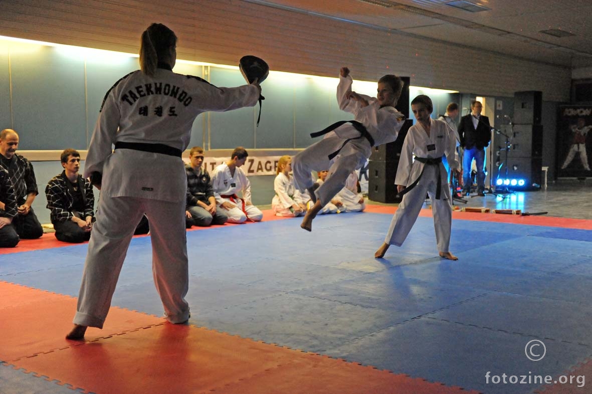 svečano otvorenje Combat Centra Zagreb...