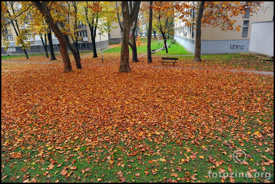 jesen u mojem parku