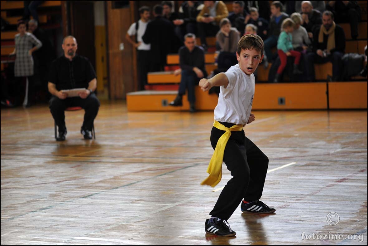 čuvaj se kung fu šake