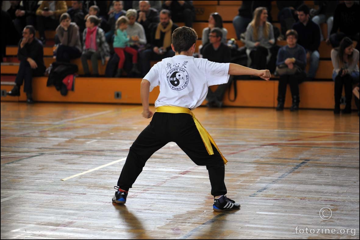 čuvaj se kung fu šake