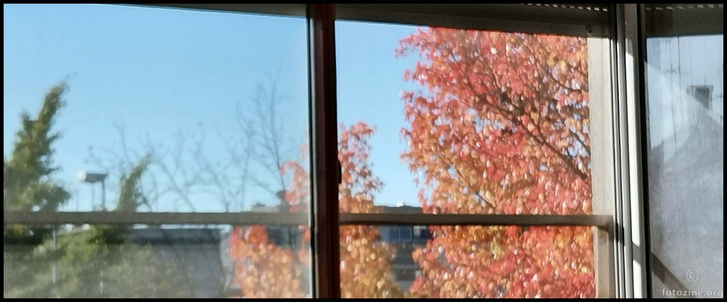 jesen stigla pred prozore moje sobe