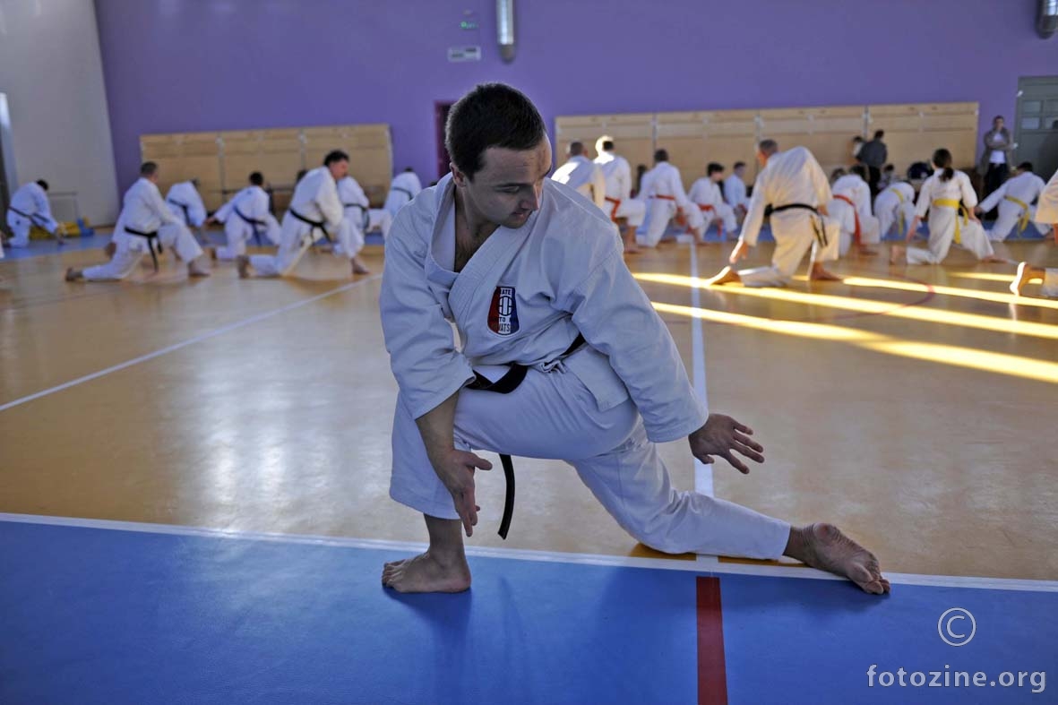 karate seminar
