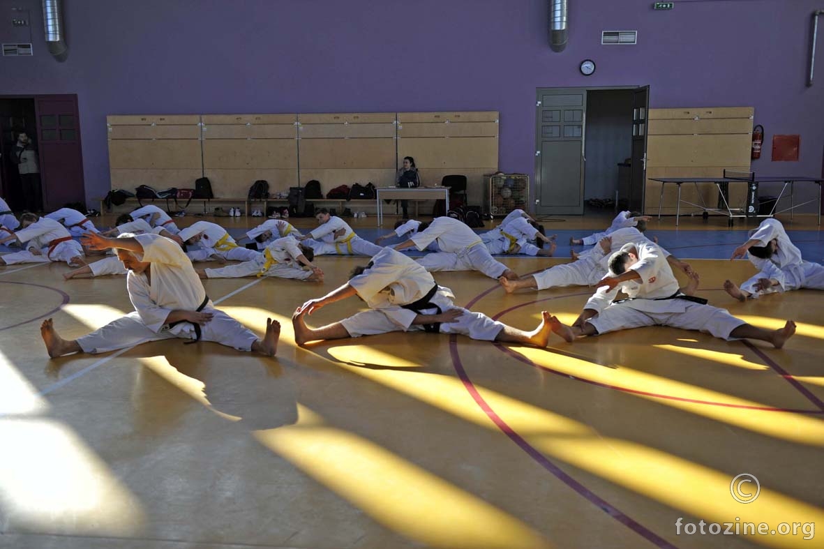 karate seminar
