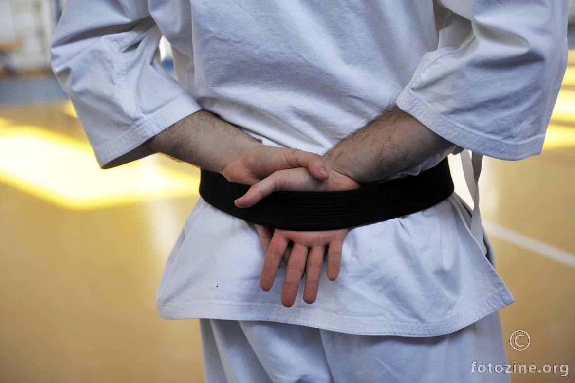 karate seminar