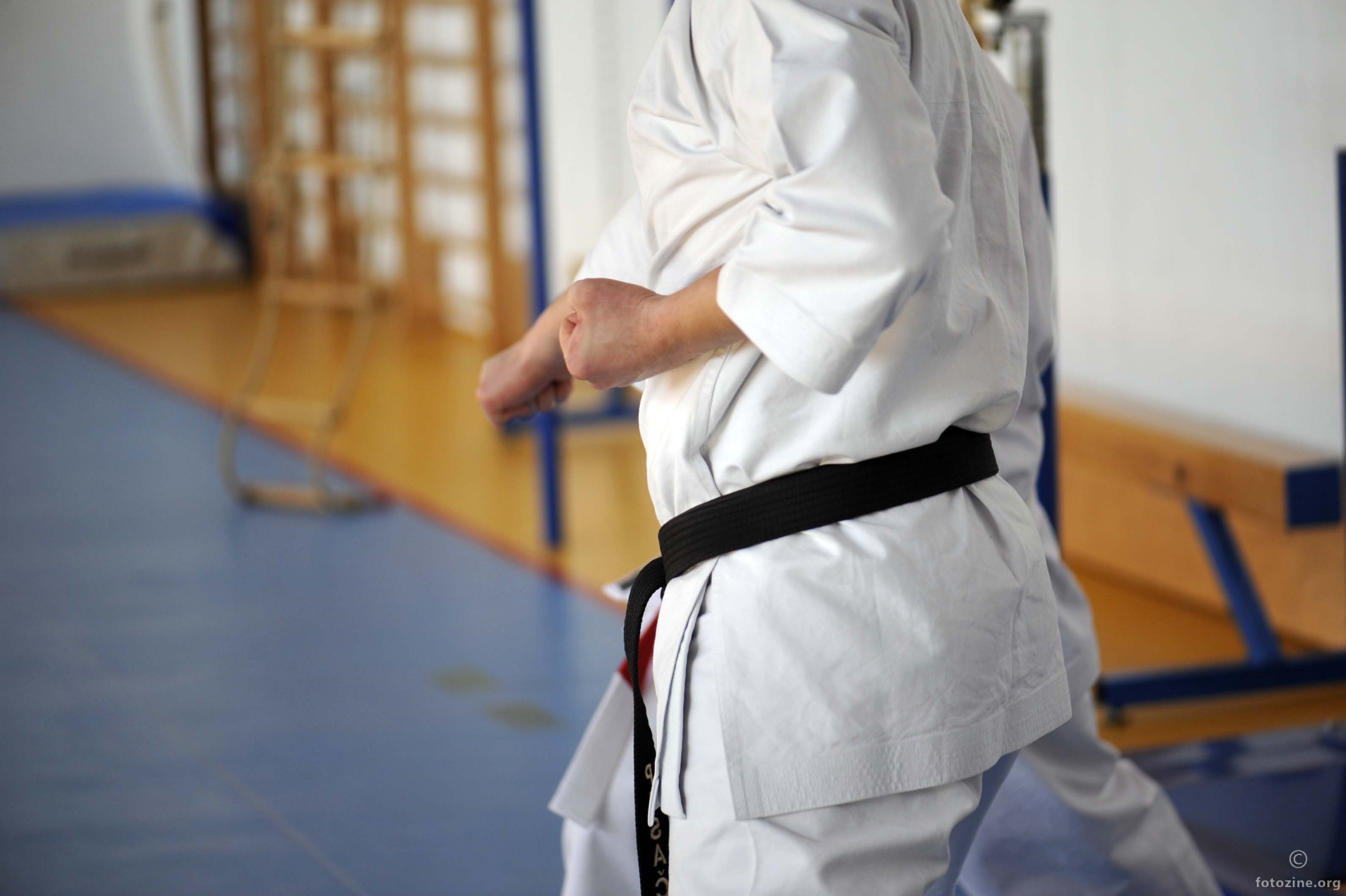 karate seminar