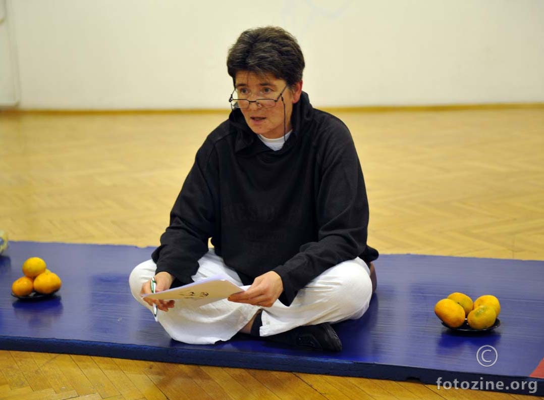 predavanje o Tai Chi Chuanu...