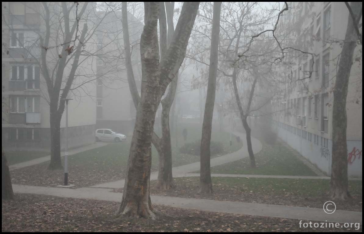 magla u mojem parku...cijeli dan