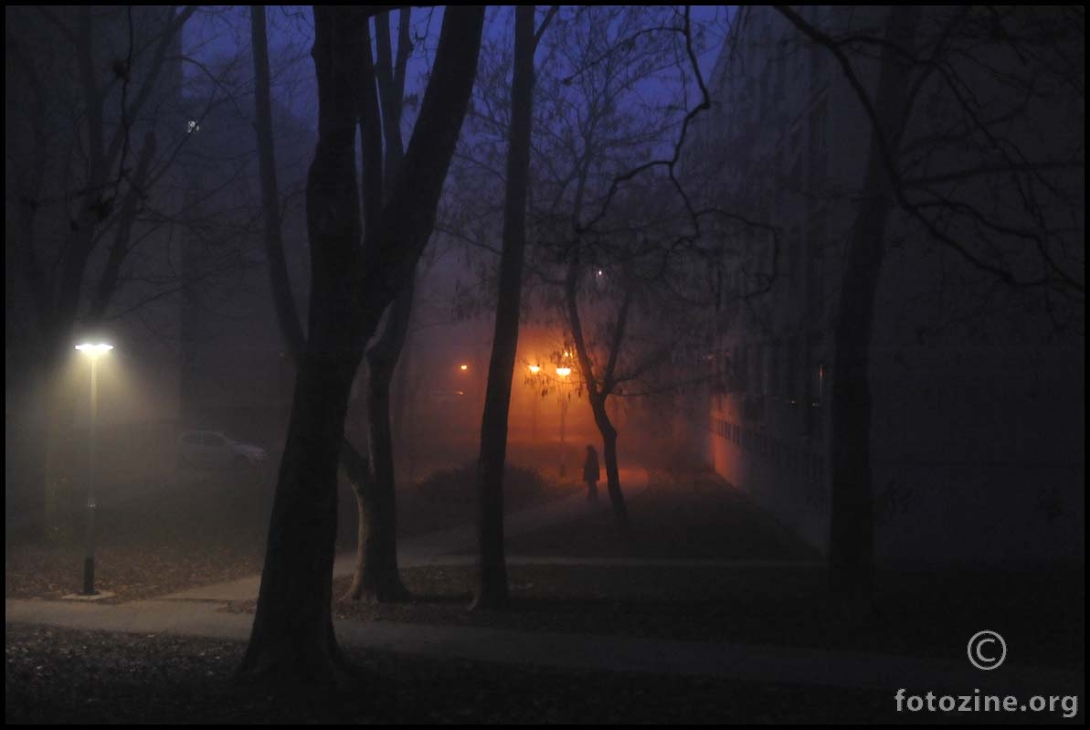 magla u mojem parku