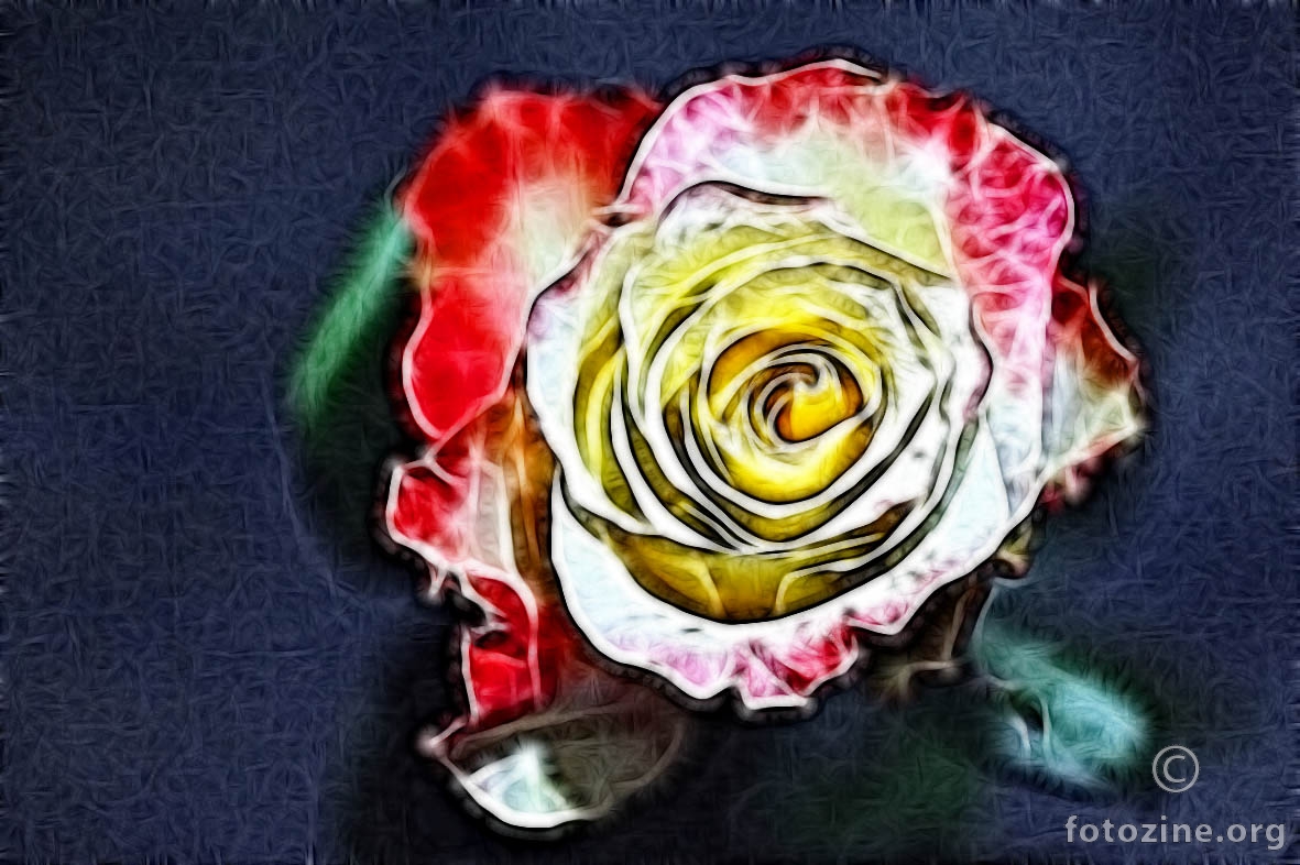 jedna ruža šarena