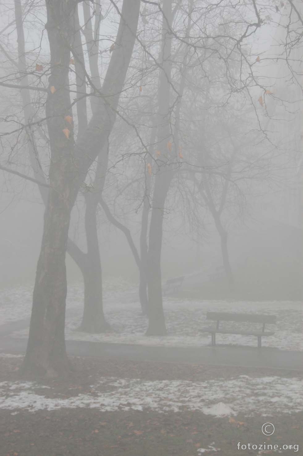 magla u mom parku