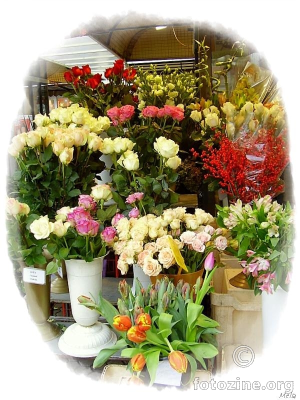 Cvijeće na prodaju
