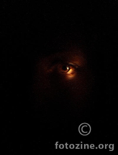 Look me in the eye! :)