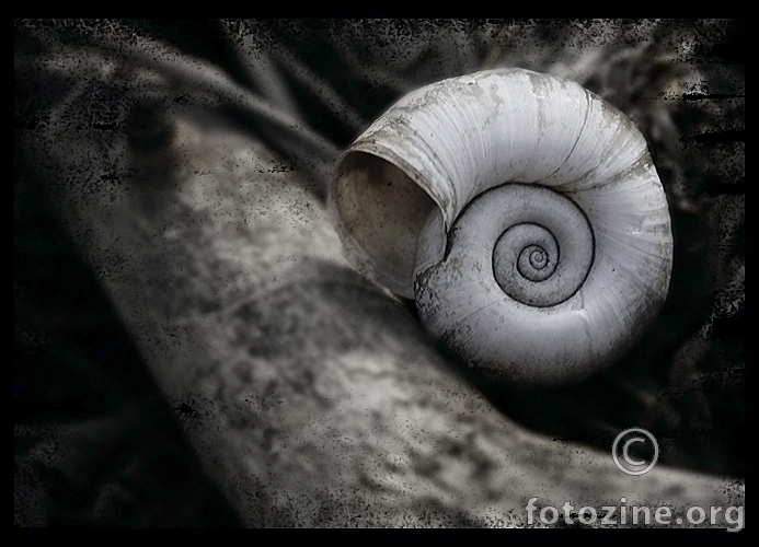 ...spiral story...