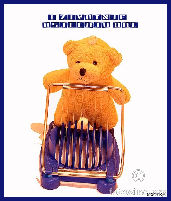 Stop mučenju životinja