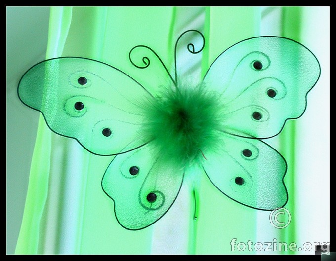 The Butterfly