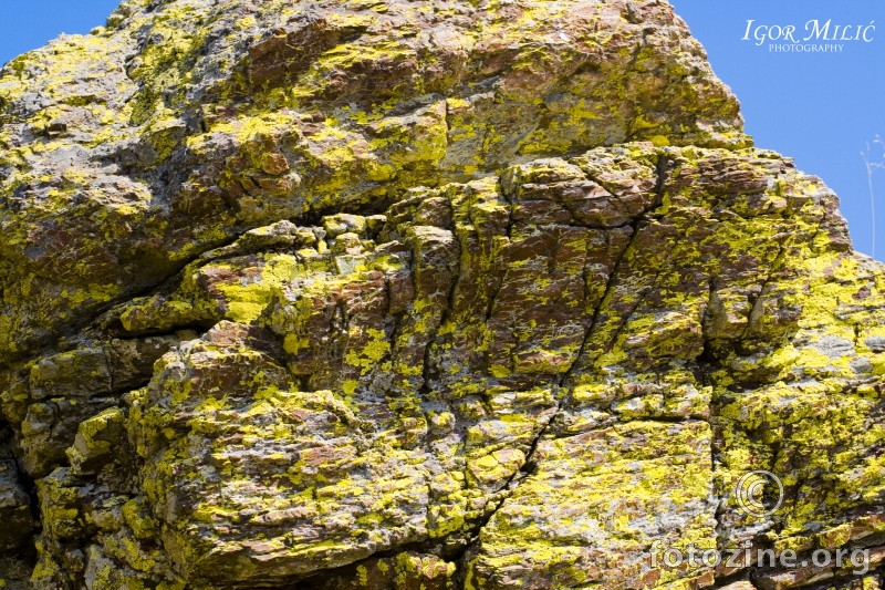 žuta stijena