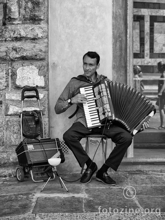 Florentine accordionist