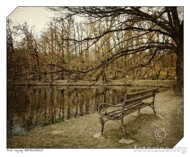 Old Bench by the Lake