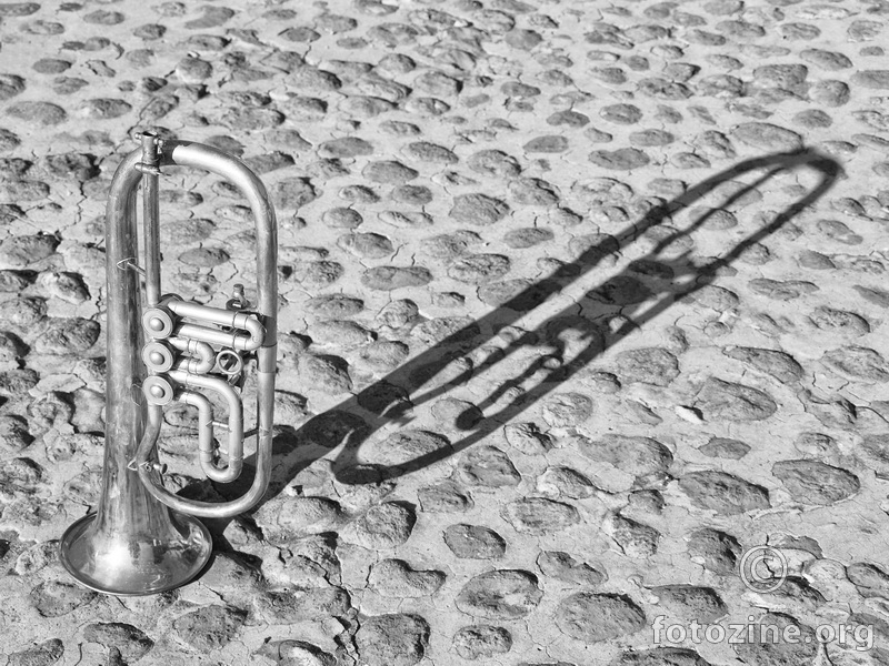 Trumpet Shadow