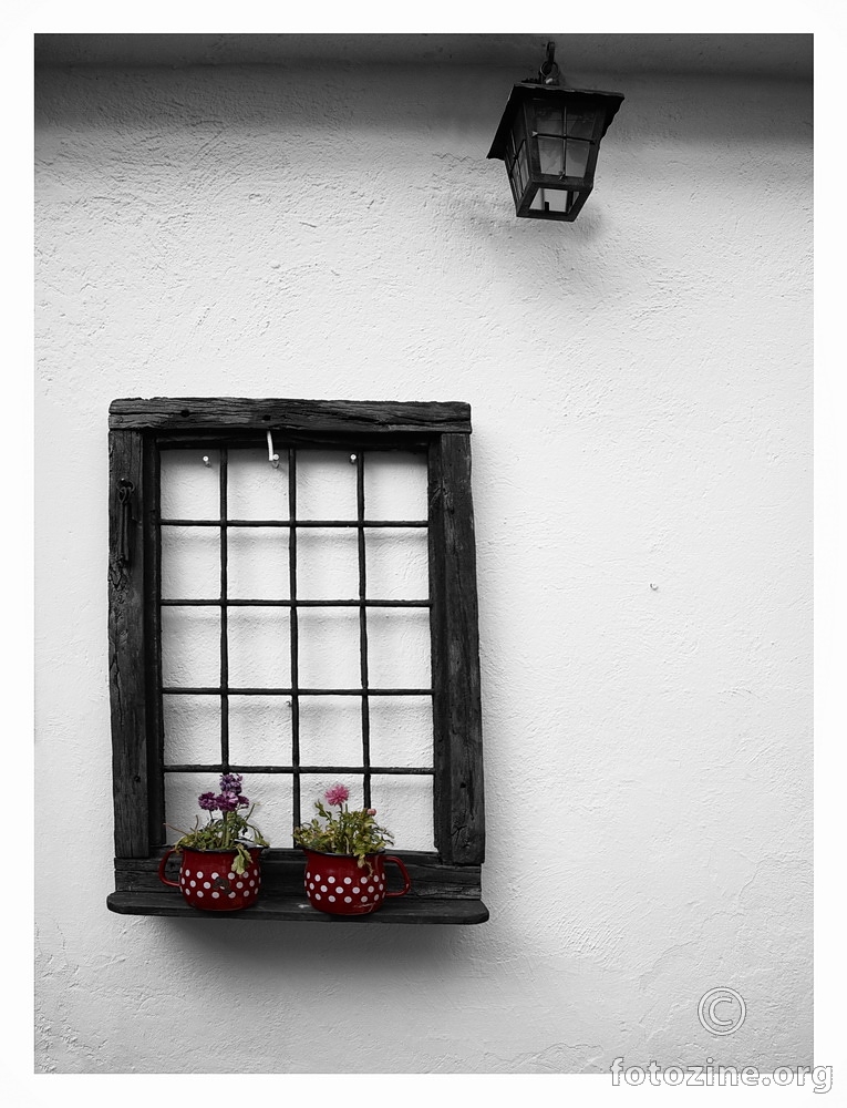 Two Red Flower Pots