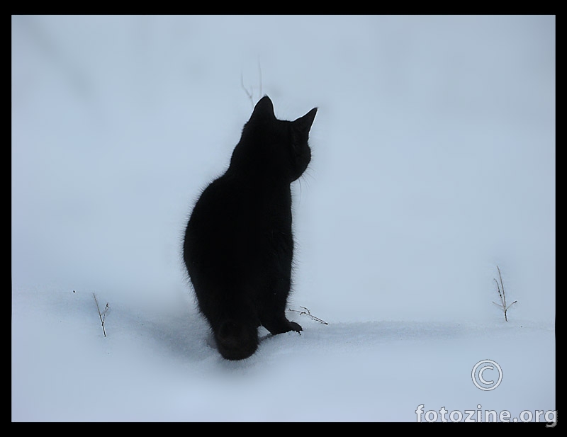 crna točka na snijegu