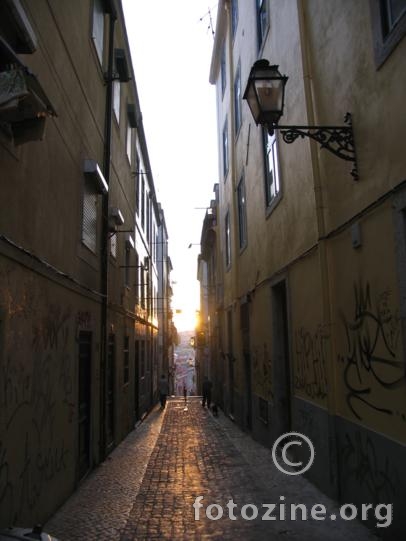foto br. 151360