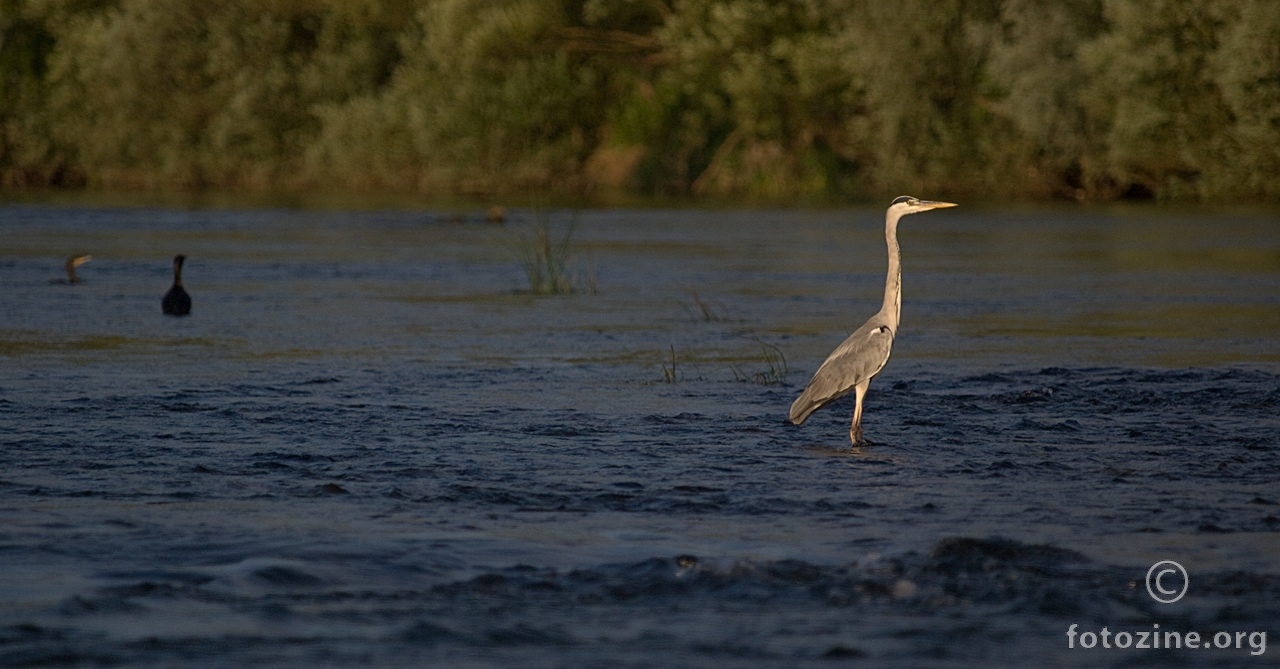 ... ribolovci ...