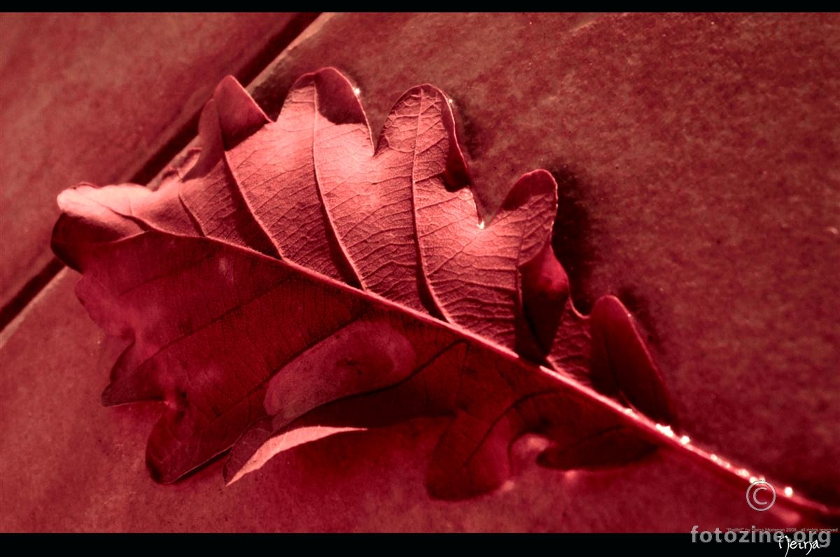 Redfall