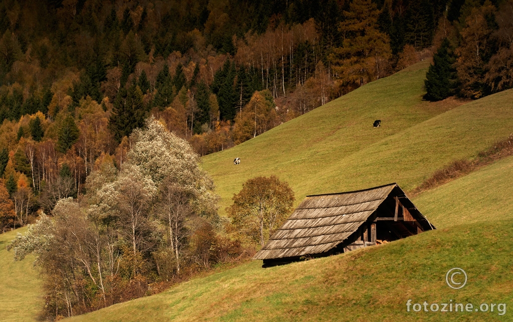 Sunčanom stranom