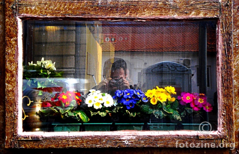 prozor s cvijechem