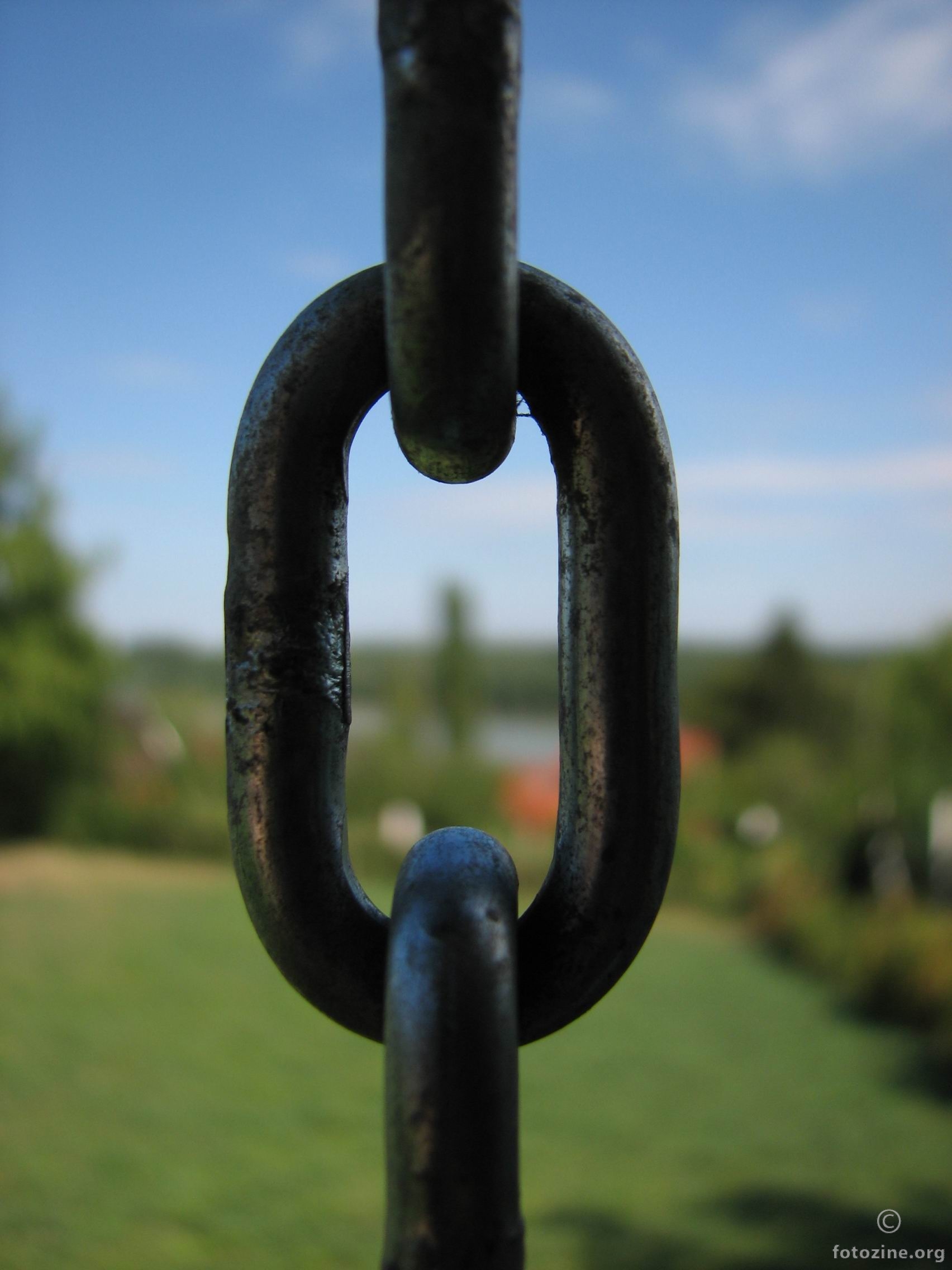 The Missing Link