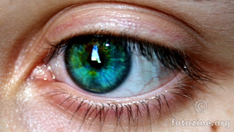 eye