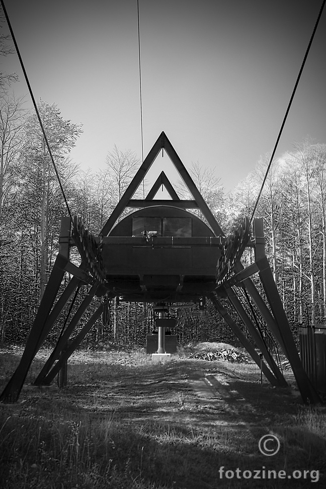 Spider