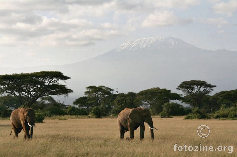 čuvari Kilimanjara