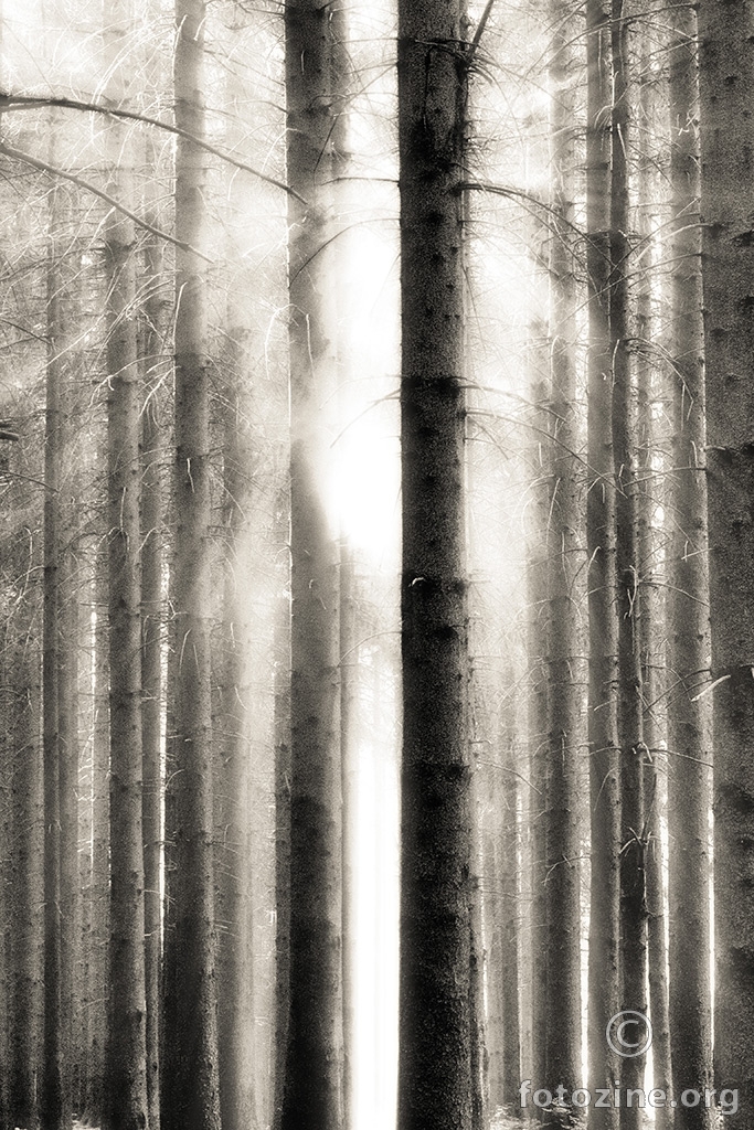Bar code