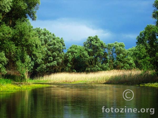 The boje