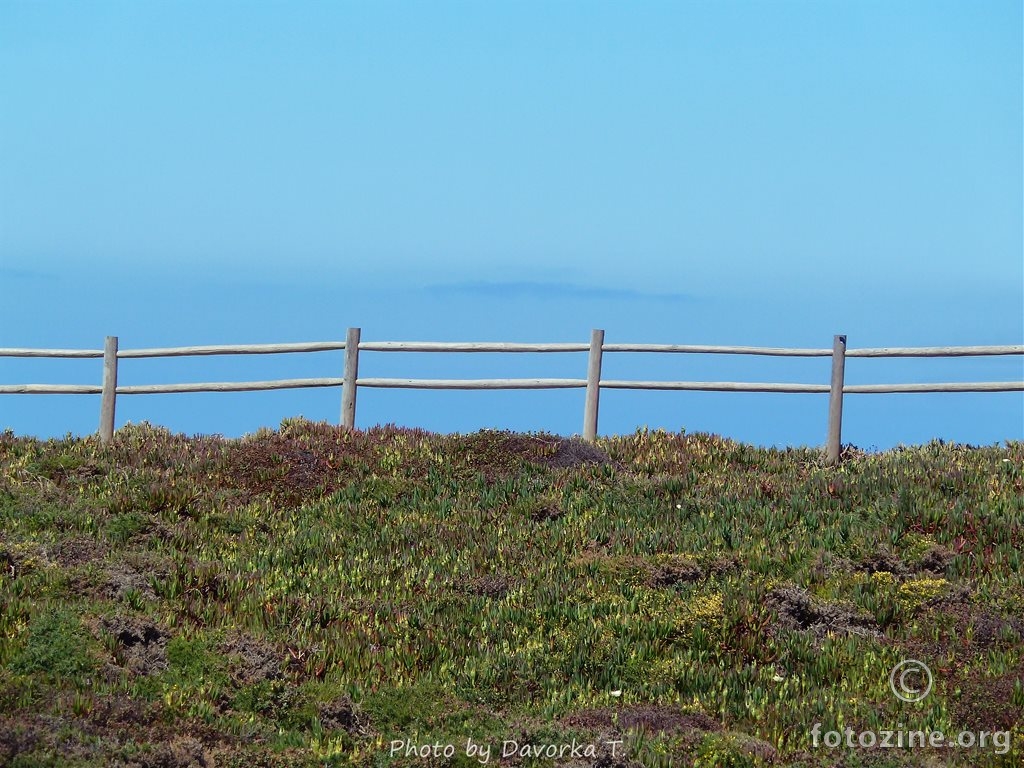 Portugal - Cabo Da Roca (08)
