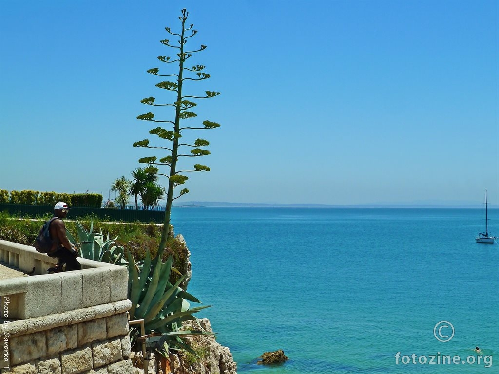 Portugal - Cascais (09)
