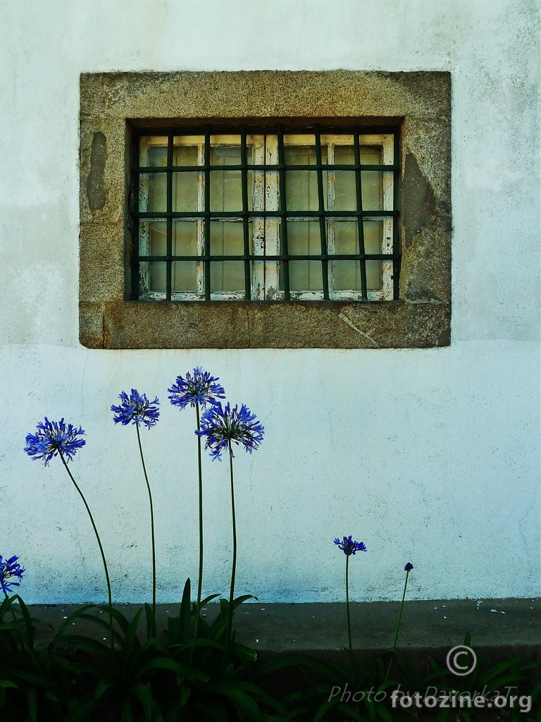 Portugal - Porto (10)