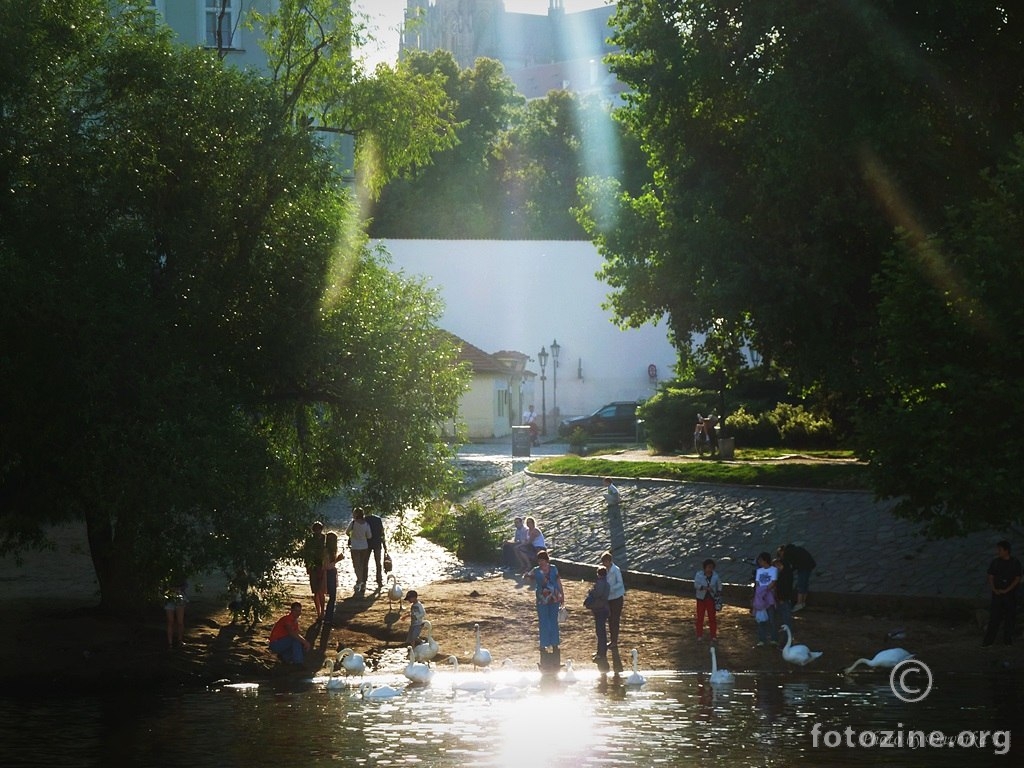 Prag 2014 - Sa zrakama sunca