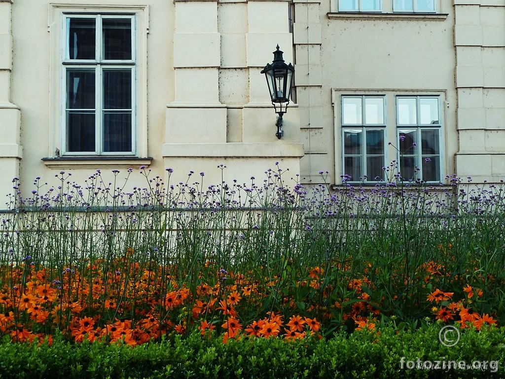 Prag 2014 - Ispred prozora